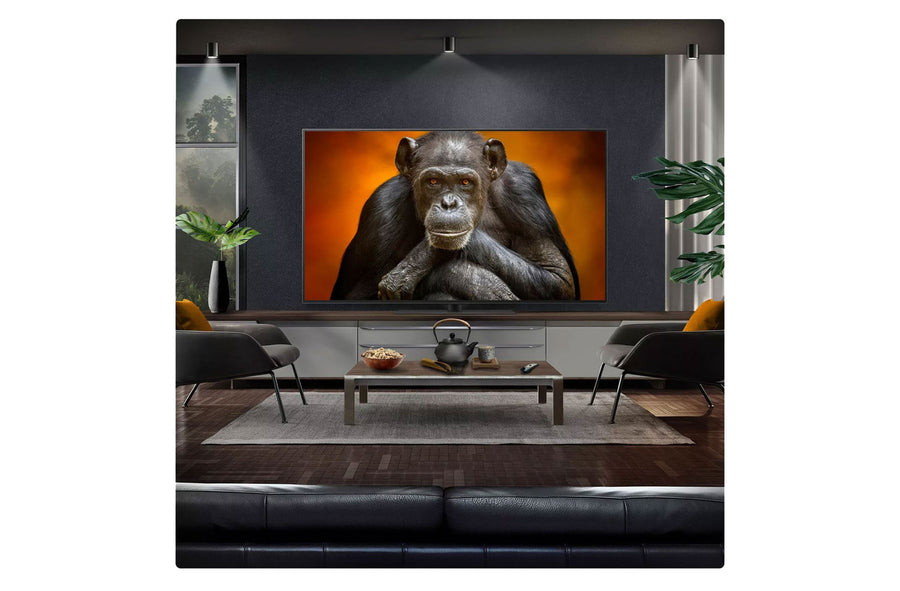 LG OLED48G56LS 48