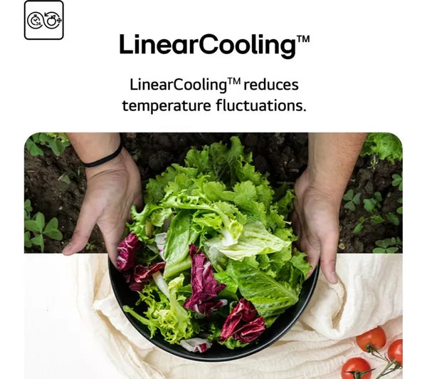 LG GBBSJ10EEP Total No Frost fridge freezer - Matte Black