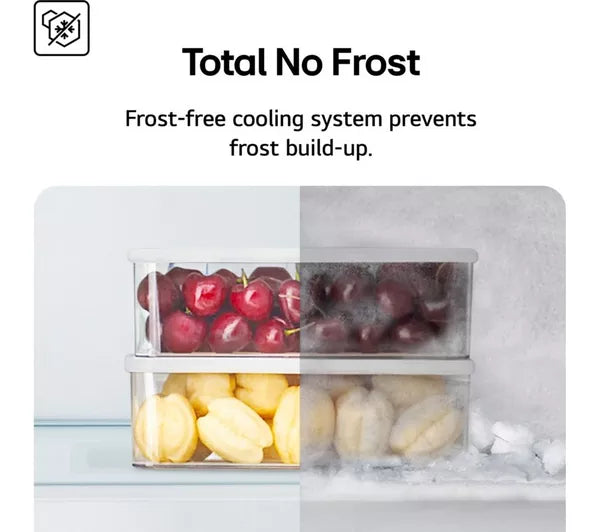 LG GBBSJ10EEP Total No Frost fridge freezer - Matte Black