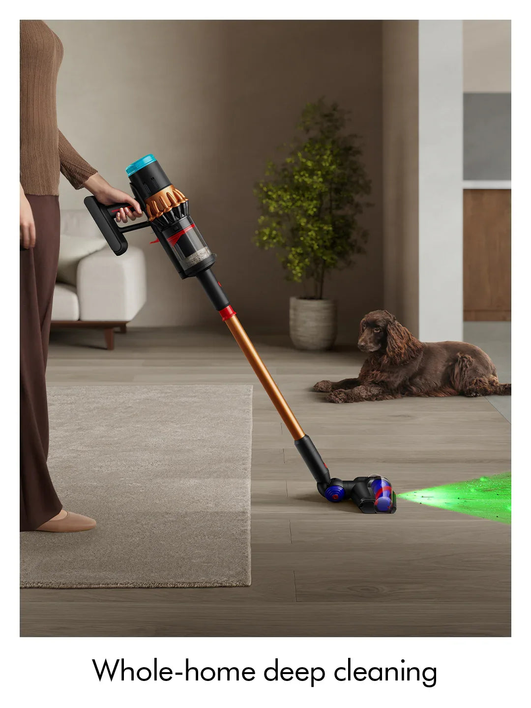 ◆ヴェル◆　dyson Dyson V16 Piston Animal Cordless Vacuum Cleaner – Basil Knipe