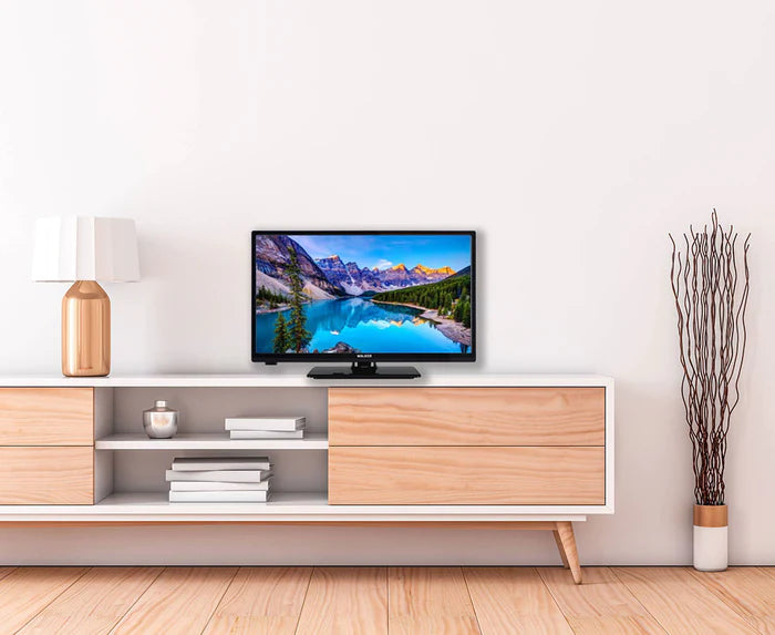 Walker WPT2421SAT 24″ LED TV with Satellite Tuner